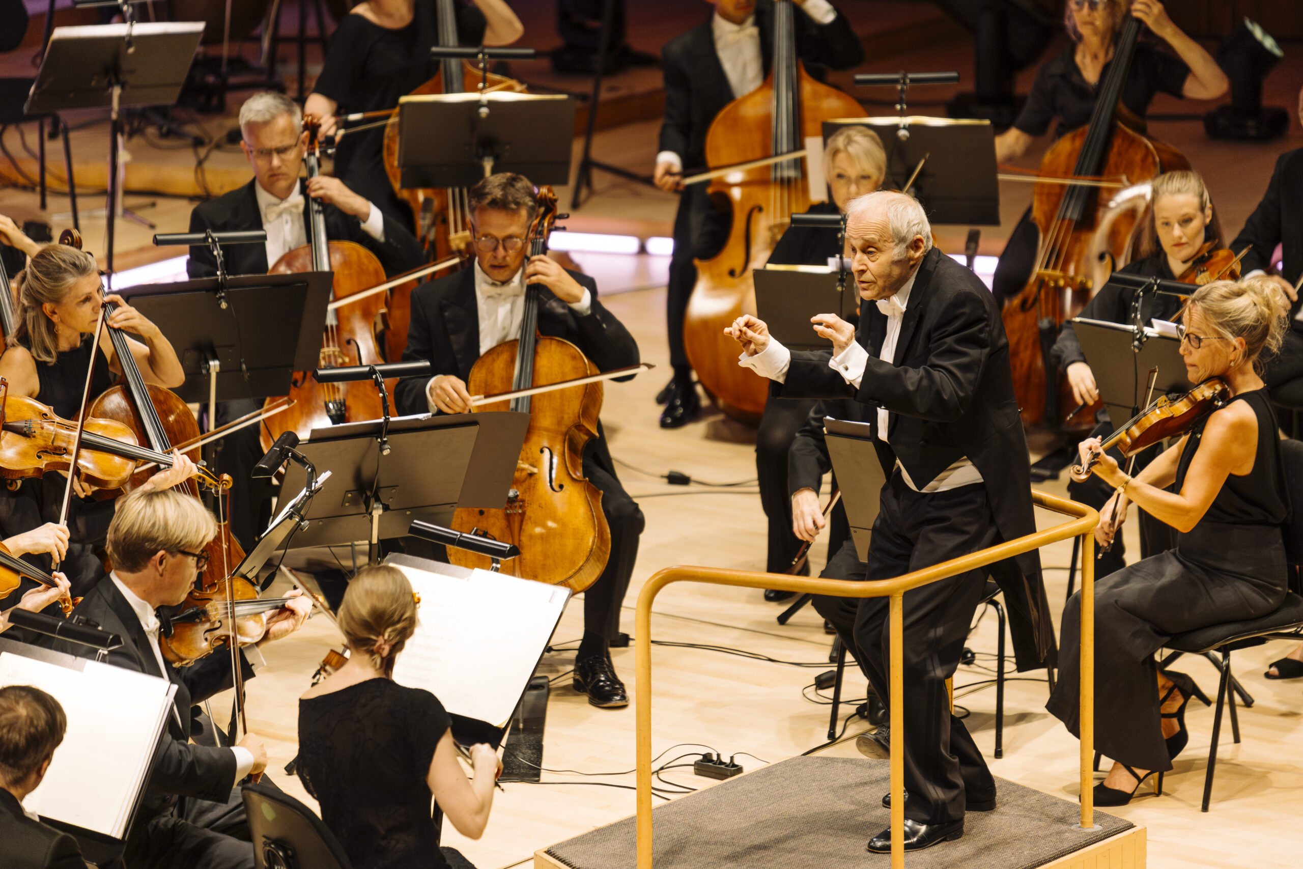 DANMARKS UNDERHOLDNINGSORKESTER: Haydn-festival 2024