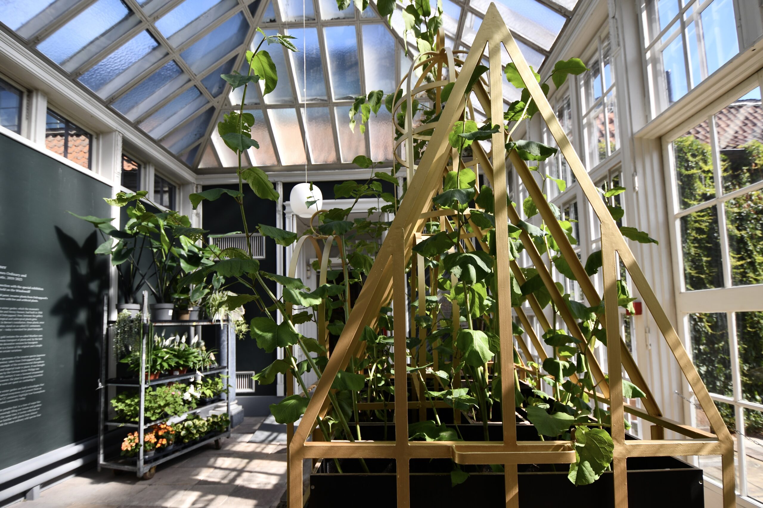 Niels Lyksted Niels Lyksted