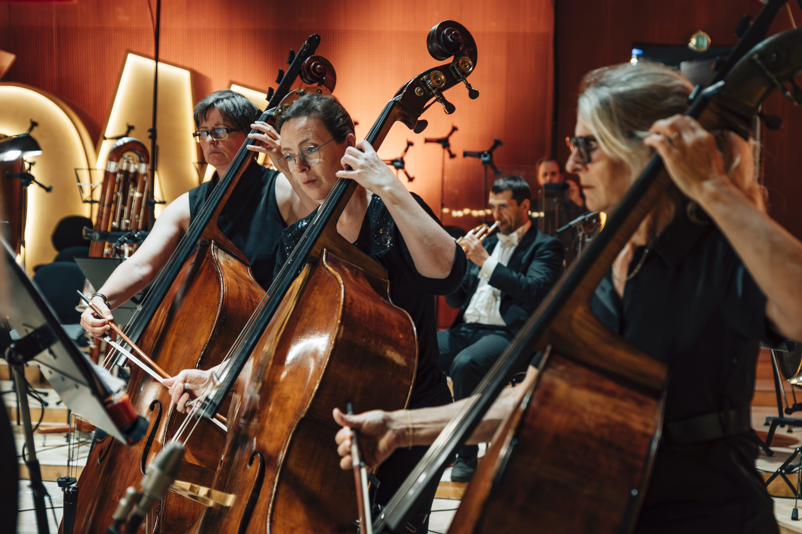 DANMARKS UNDERHOLDNINGSORKESTER: Haydn-festival 2025