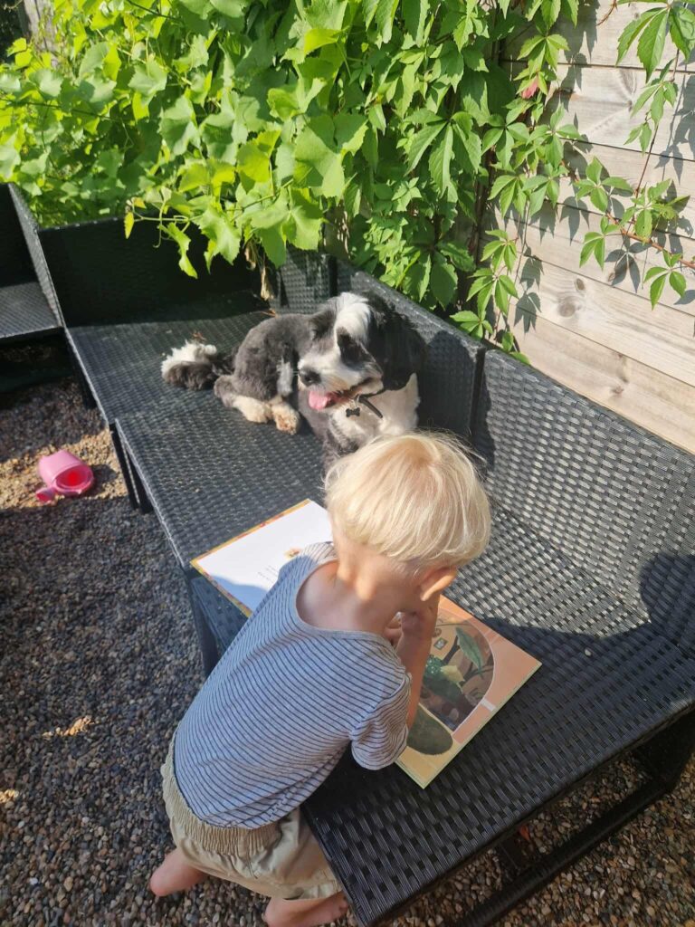 DET ER FOR BØRN: Lille Tut og fugleungen DET ER FOR BØRN: Lille Tut og fugleungen