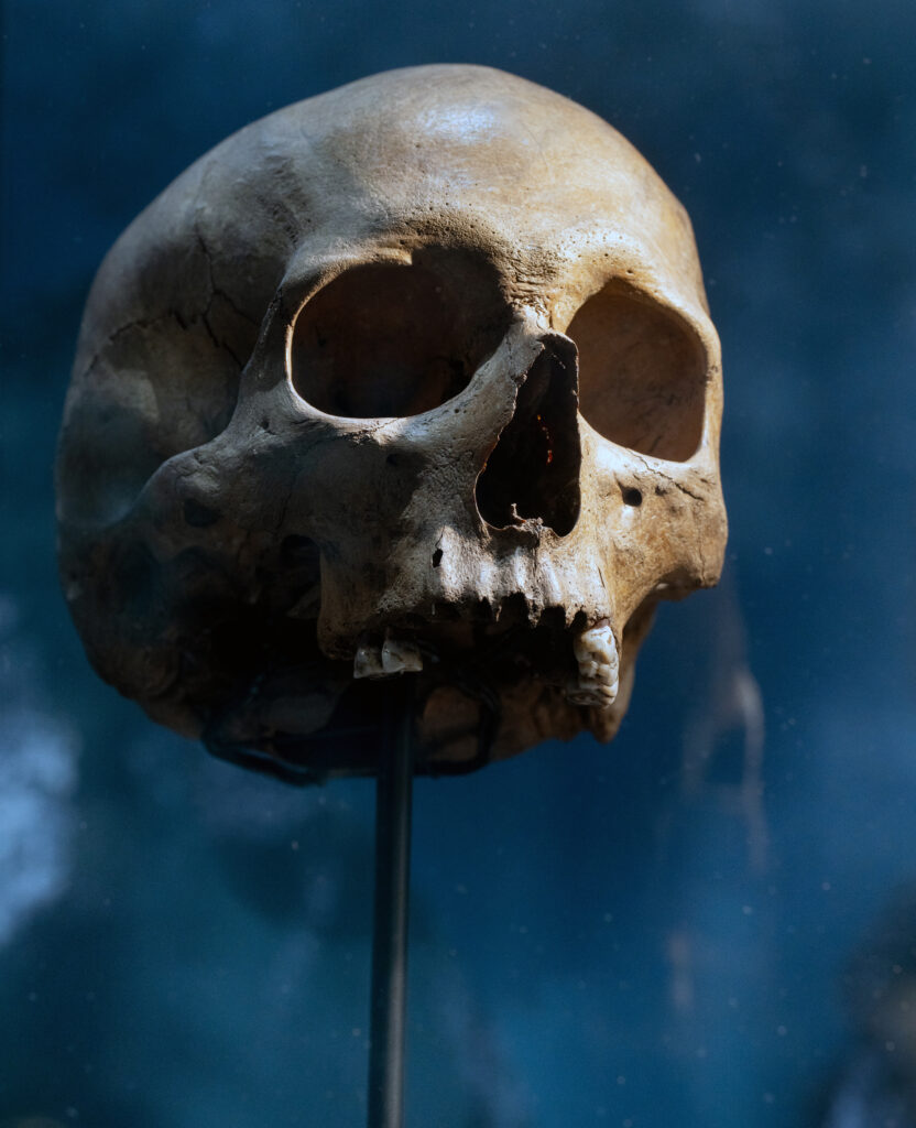 MOESGAARD: Kelternes verden