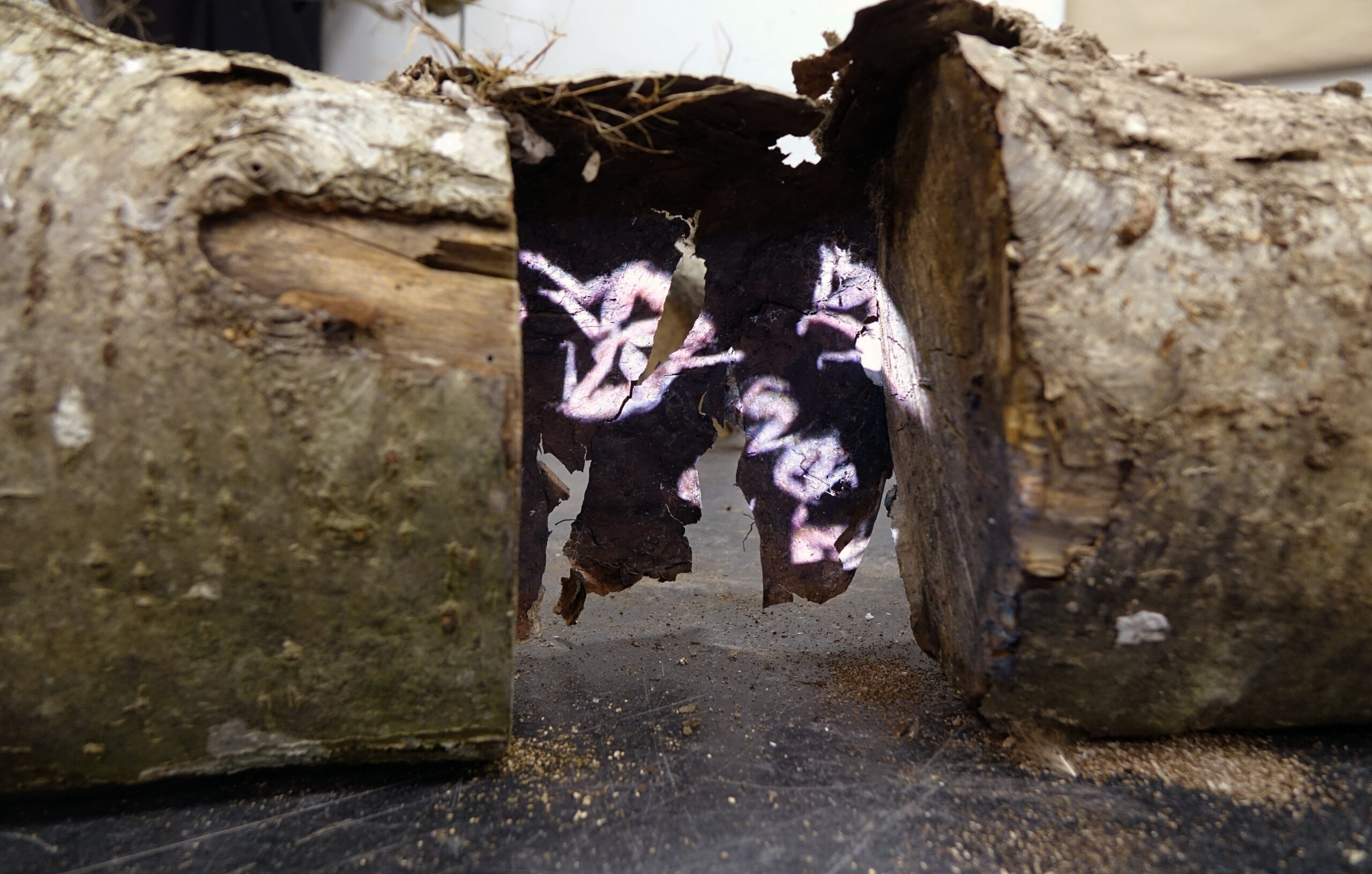 KunstCentret Silkeborg Bad: Efterår 2025