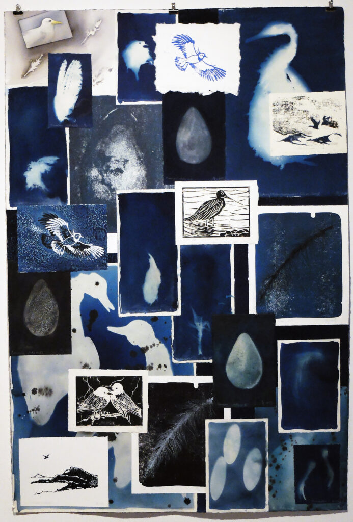 KunstCentret Silkeborg Bad: Efterår 2025