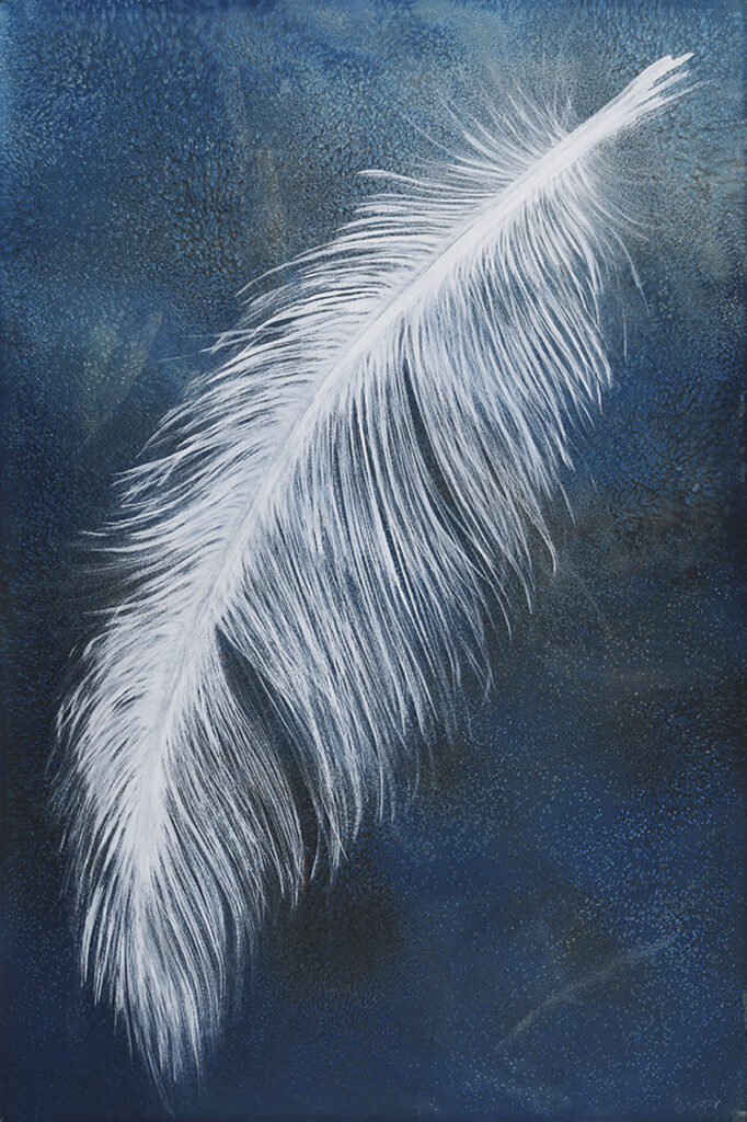 KunstCentret Silkeborg Bad: Efterår 2025