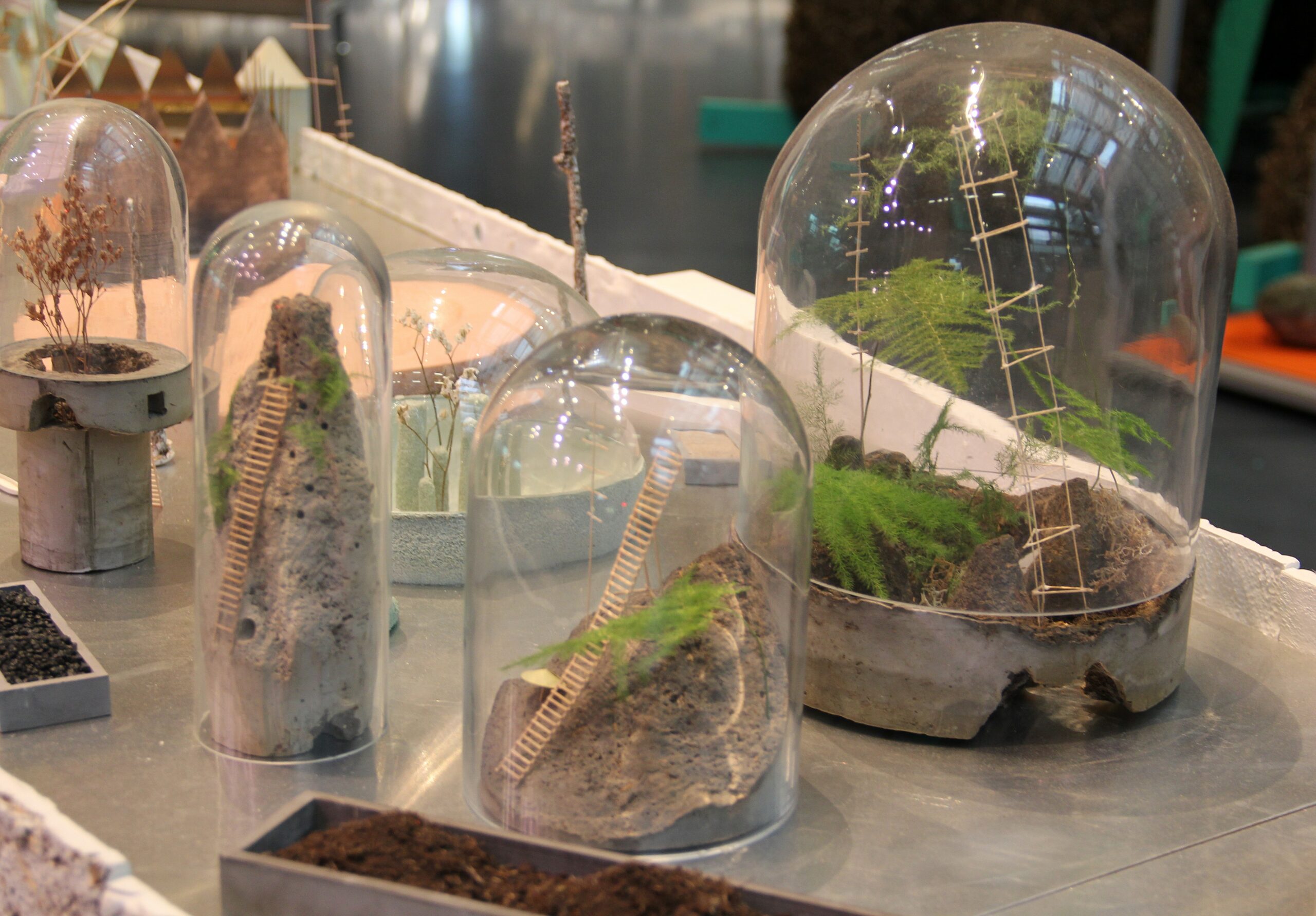 Dansk Arkitektur Center – AGE OF NATURE