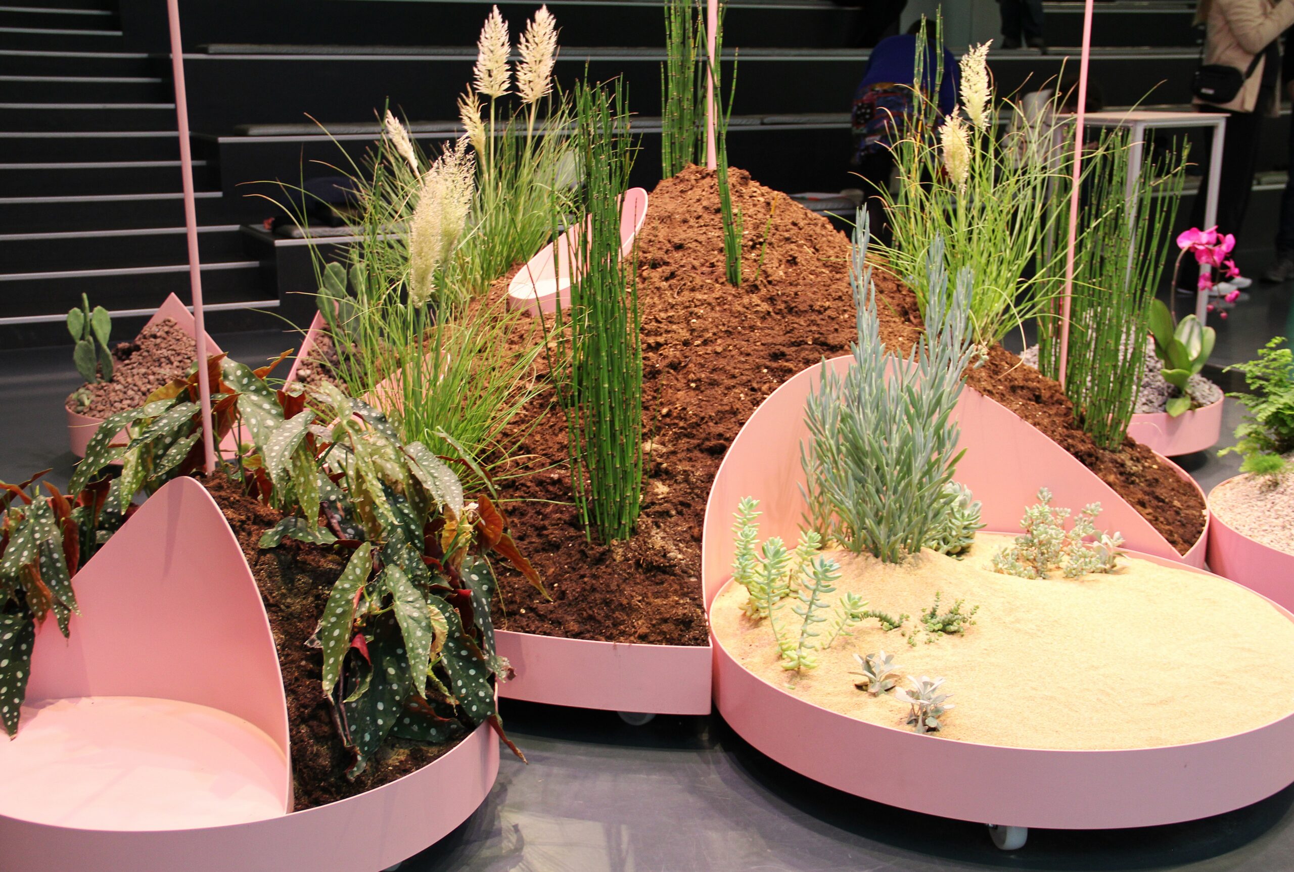 Dansk Arkitektur Center – AGE OF NATURE