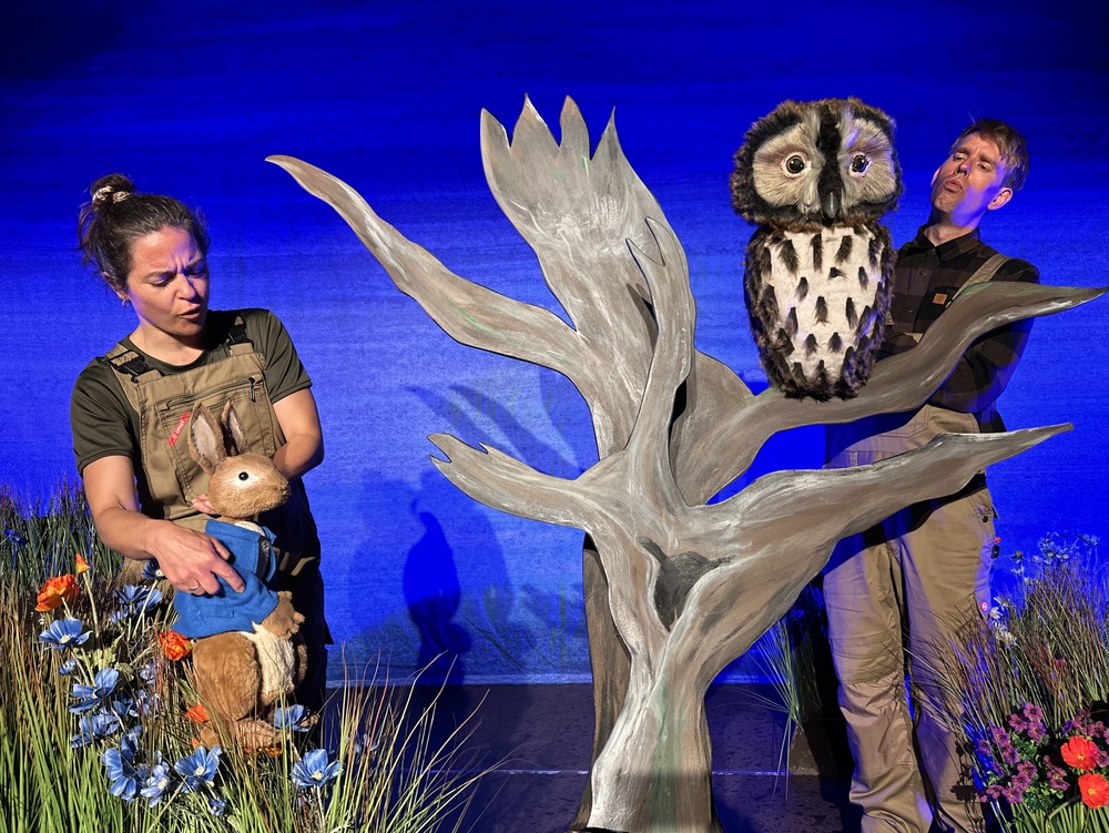 Børneforestilling: PETER KANIN