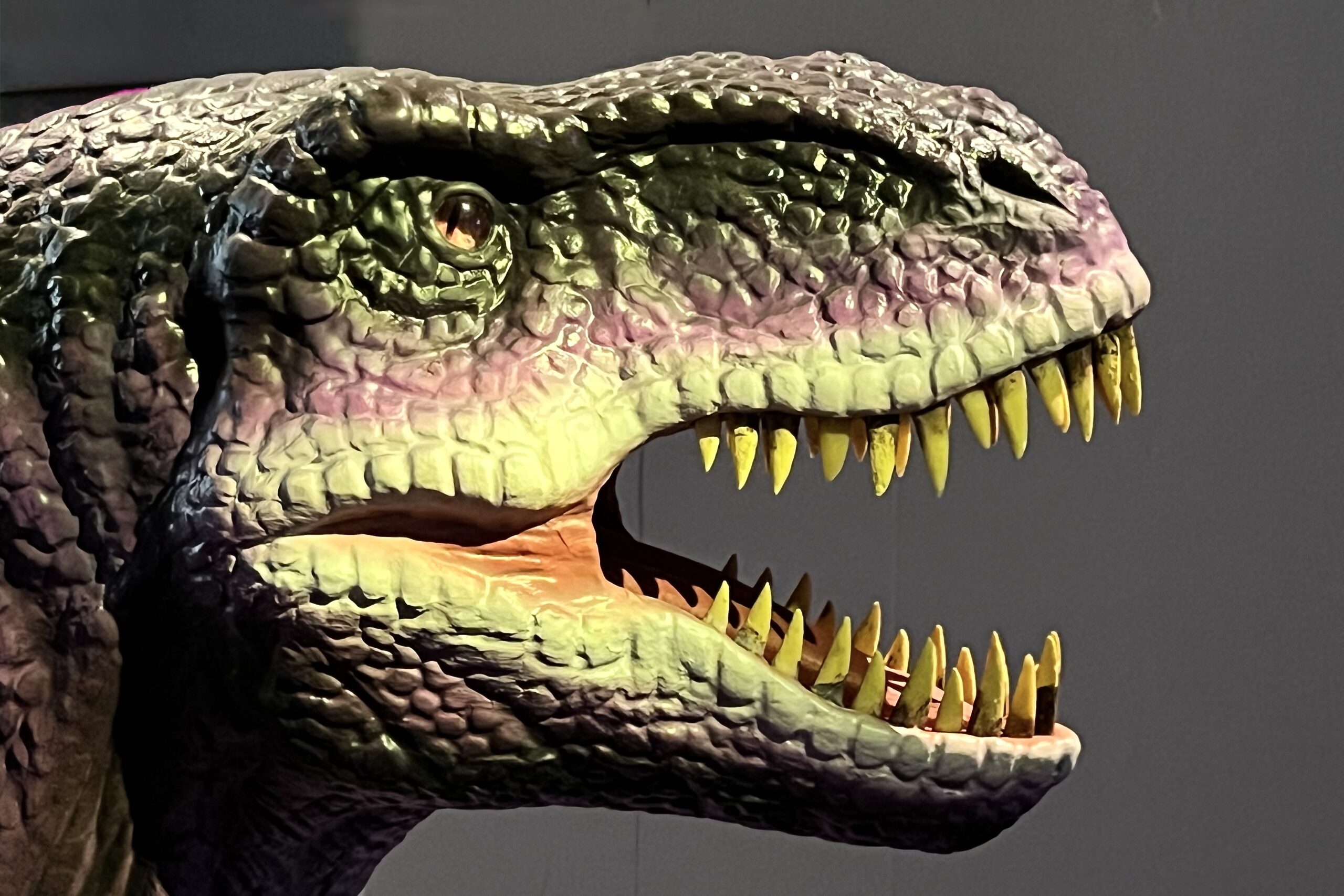 ARKEN: Monira Al Qadiri - Cameleon