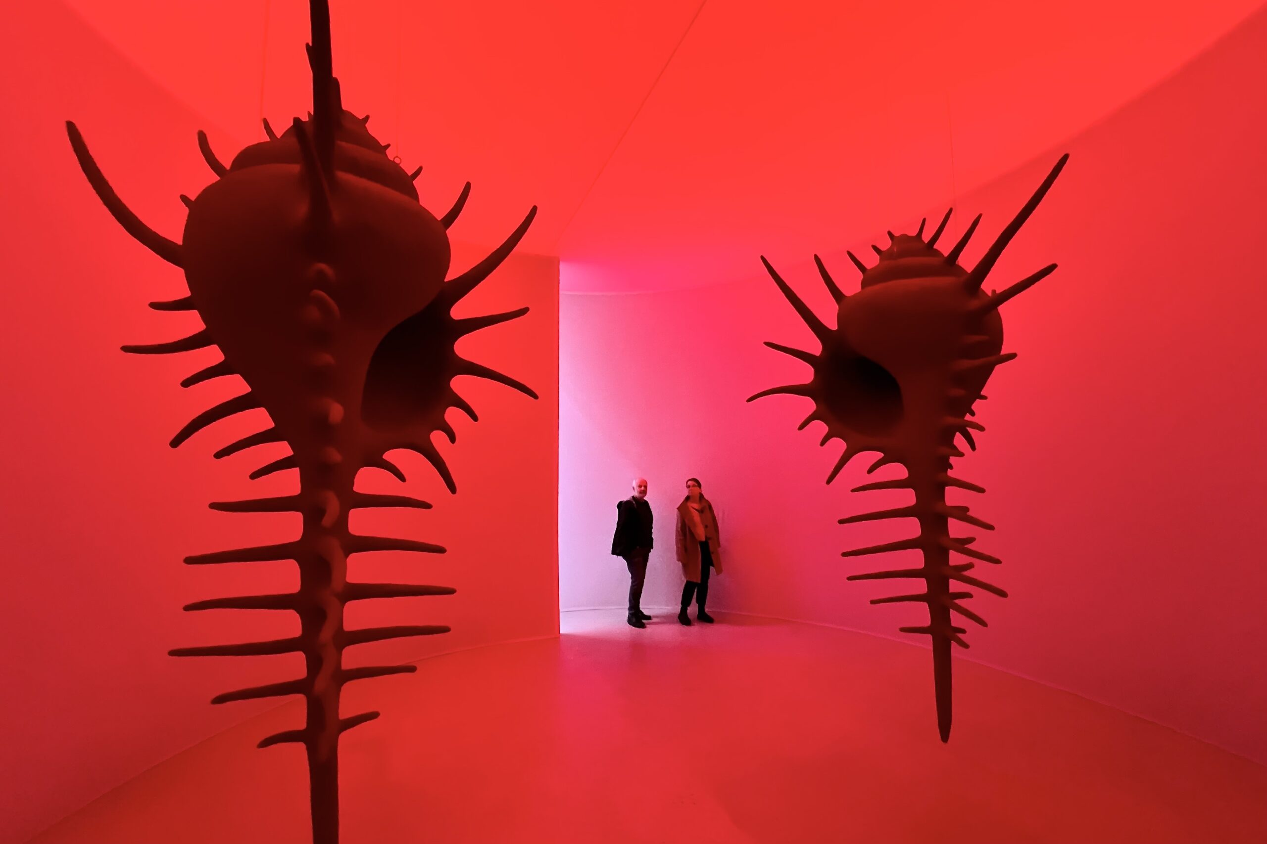 Arken – Museum for samtidskunst