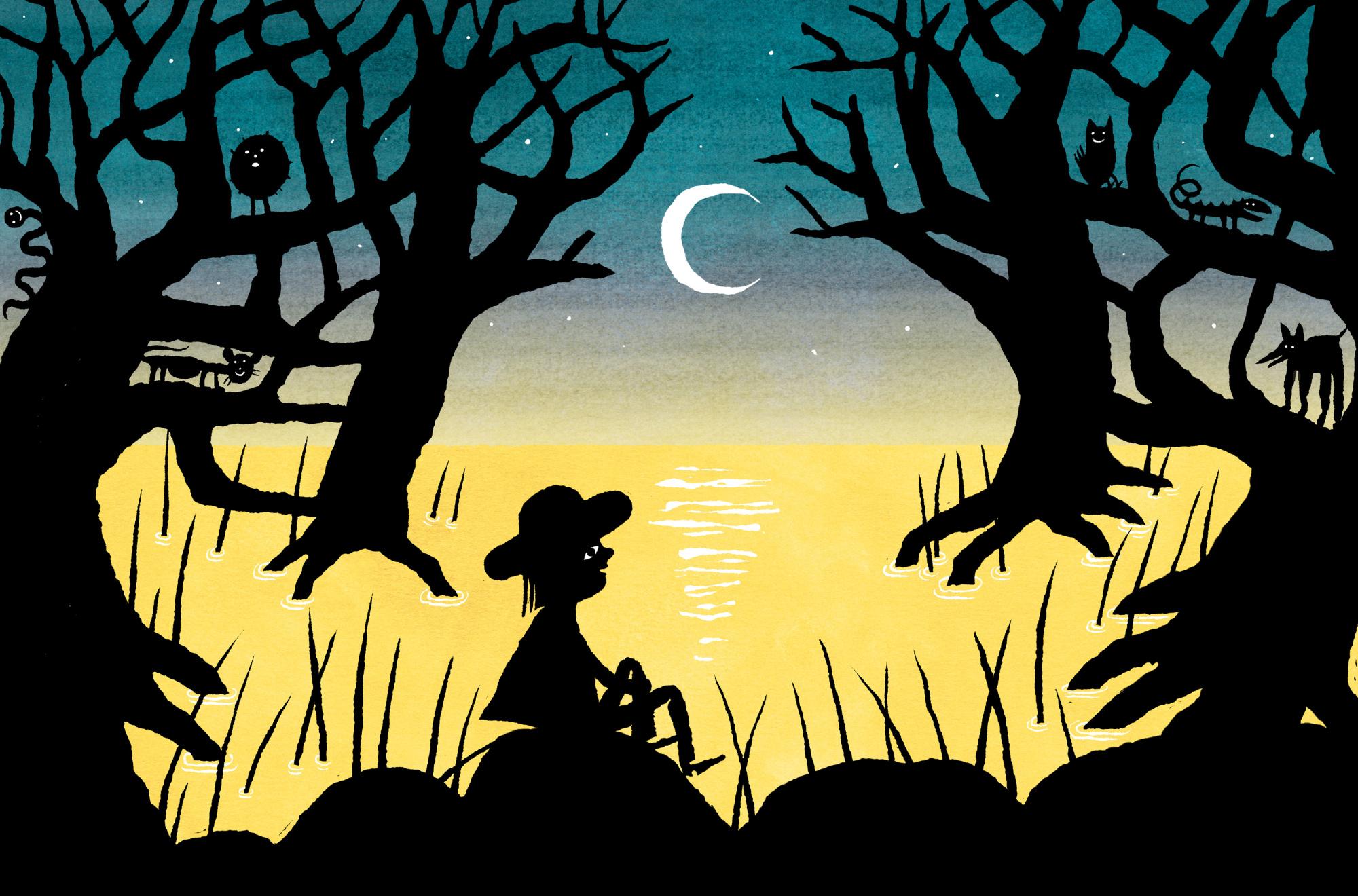 DET LILLE TEATER: Har du set min skygge?