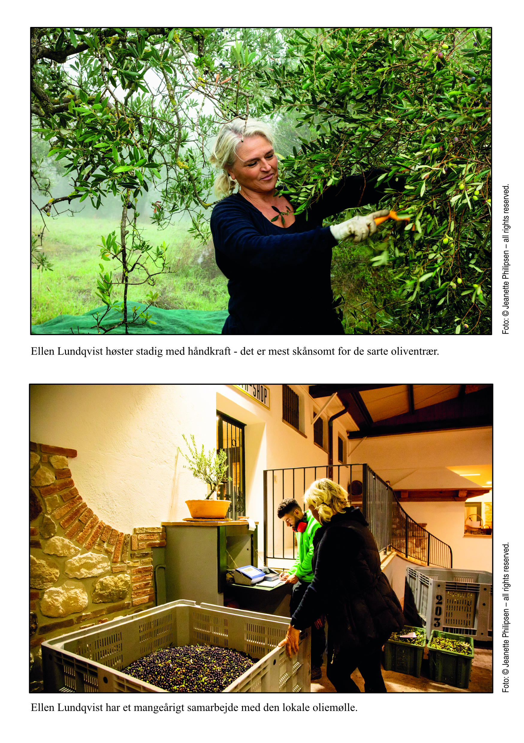 Tidsskriftet KULTURINFORMATION, vinter 2025/26