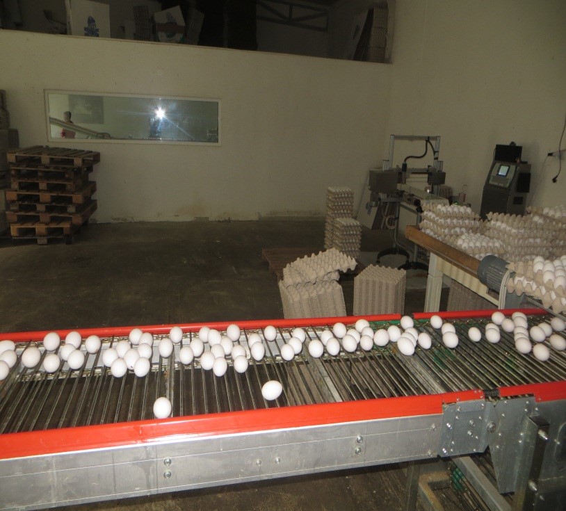 POLITIMUSEET: Operation Goldfinger