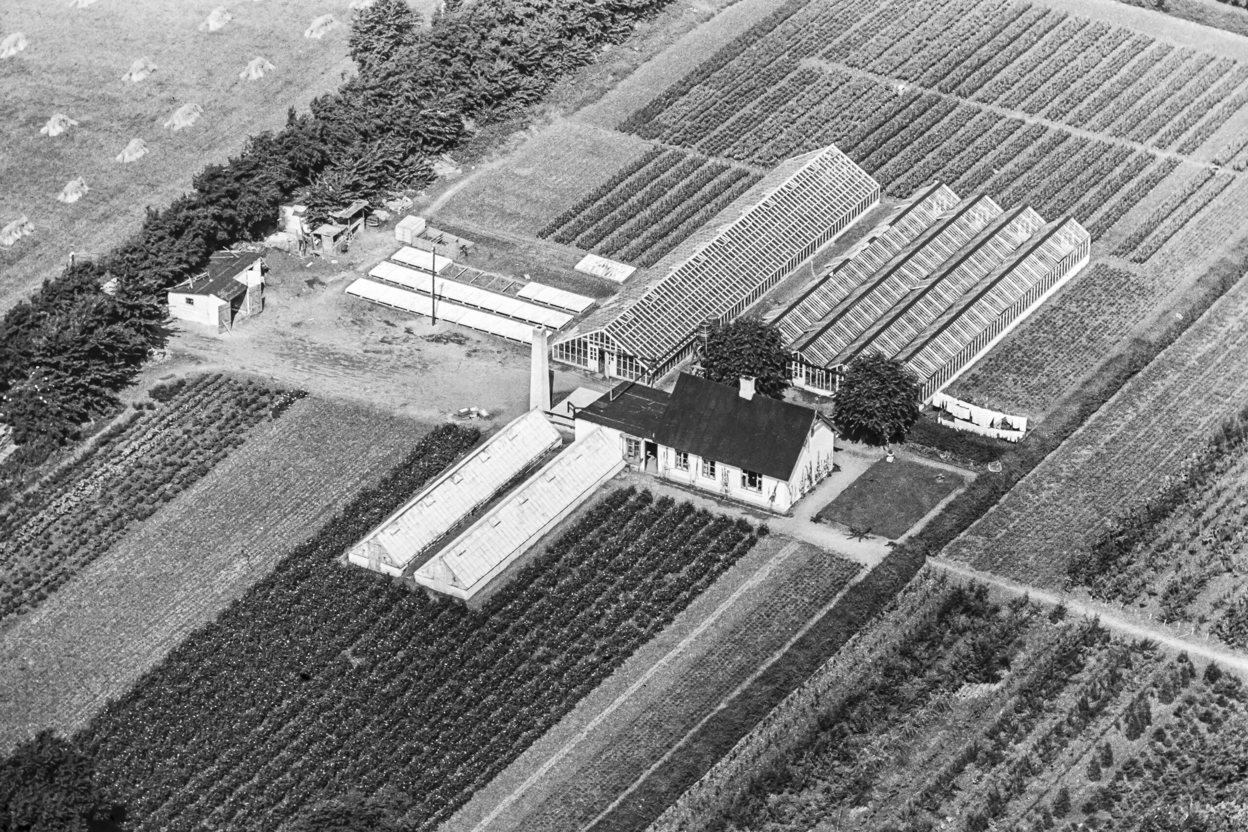 et værk af Nicolas Cosedis og Holger Dahl et værk af Nicolas Cosedis og Holger Dahl