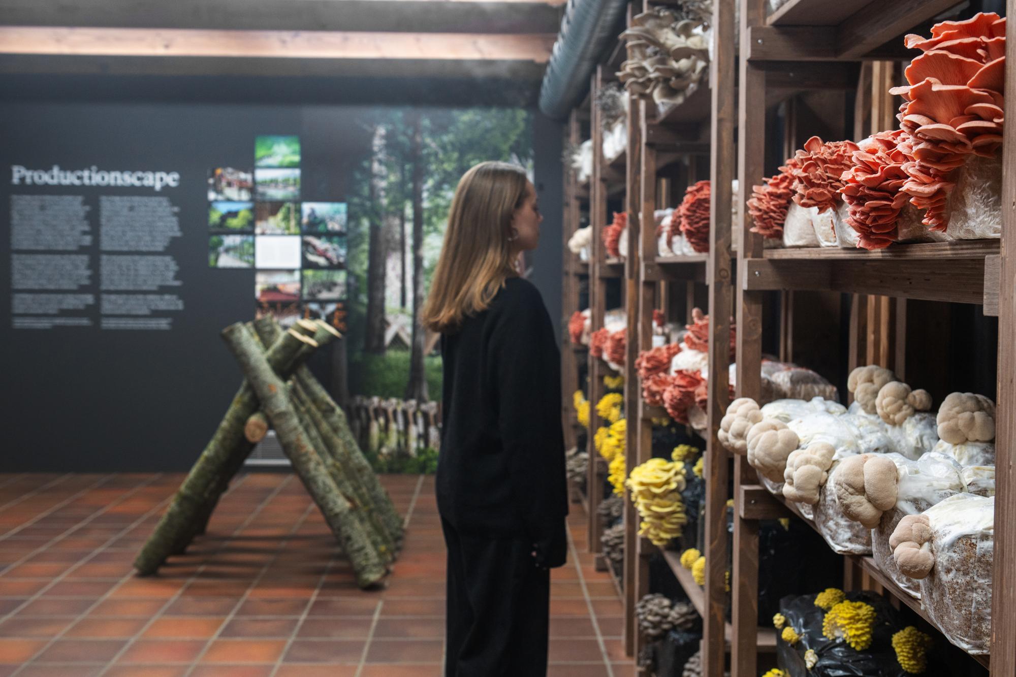 ARKITEKTURENS FORBINDELSER II