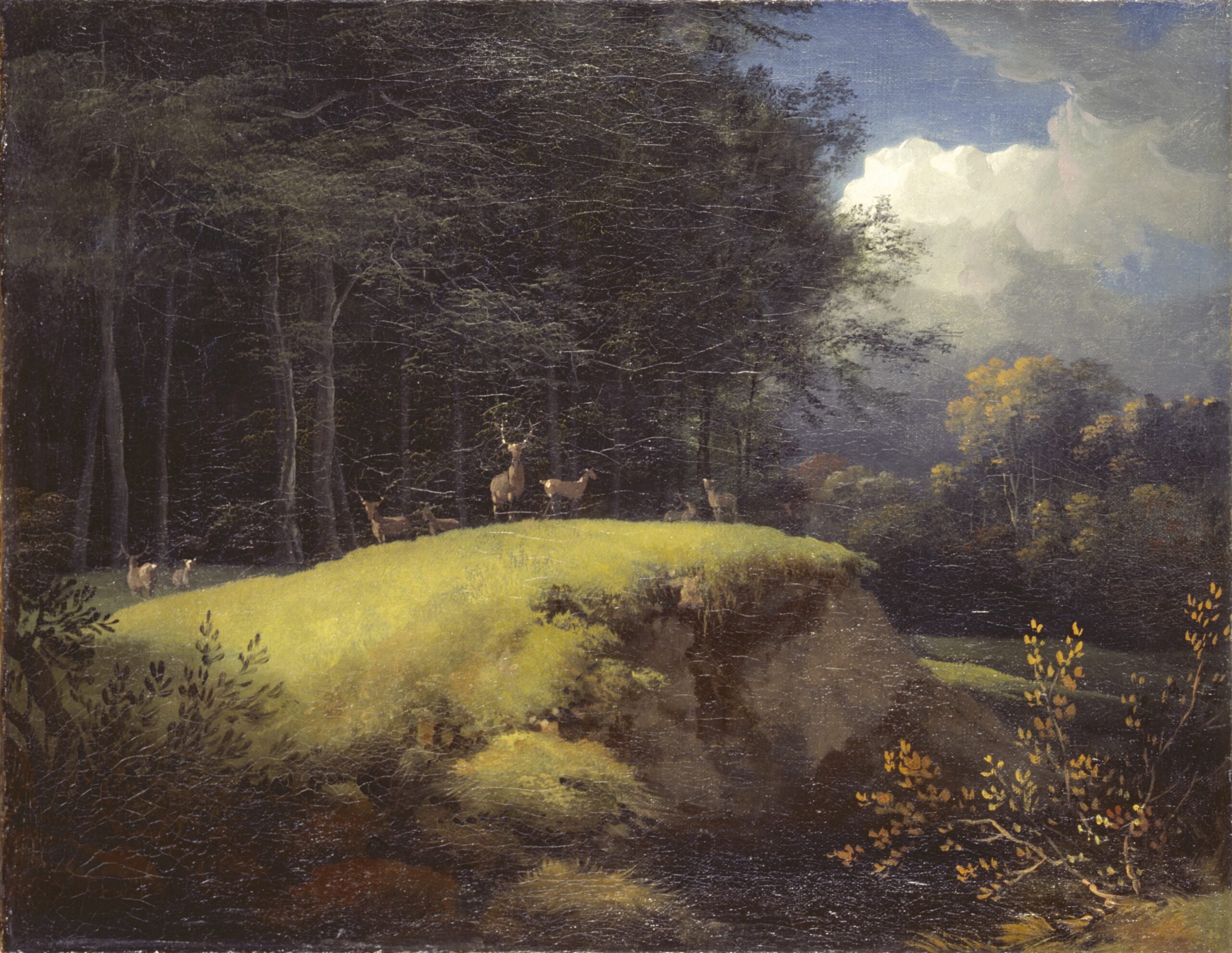 NIVAAGAARDS MALERISAMLING: Skovens tid