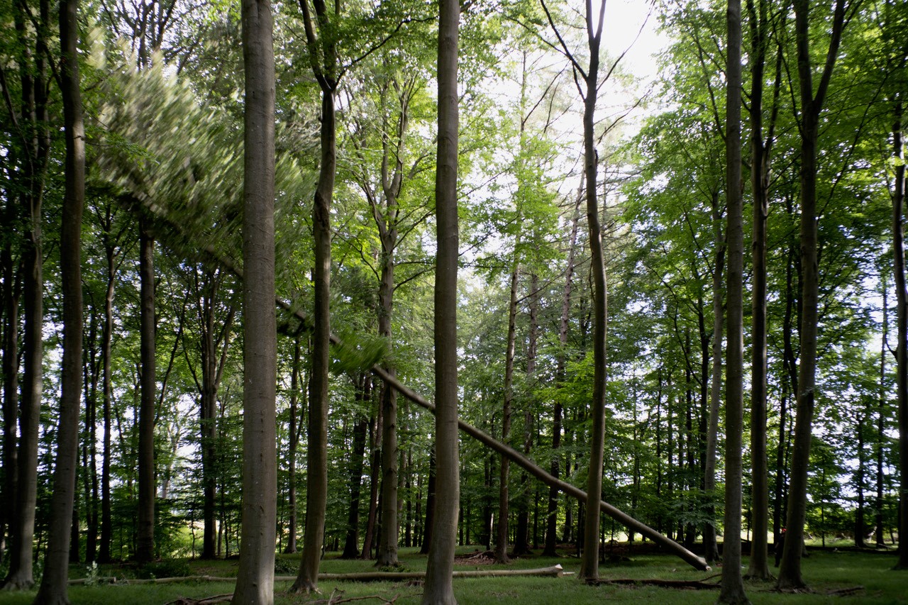 NIVAAGAARDS MALERISAMLING: Skovens tid