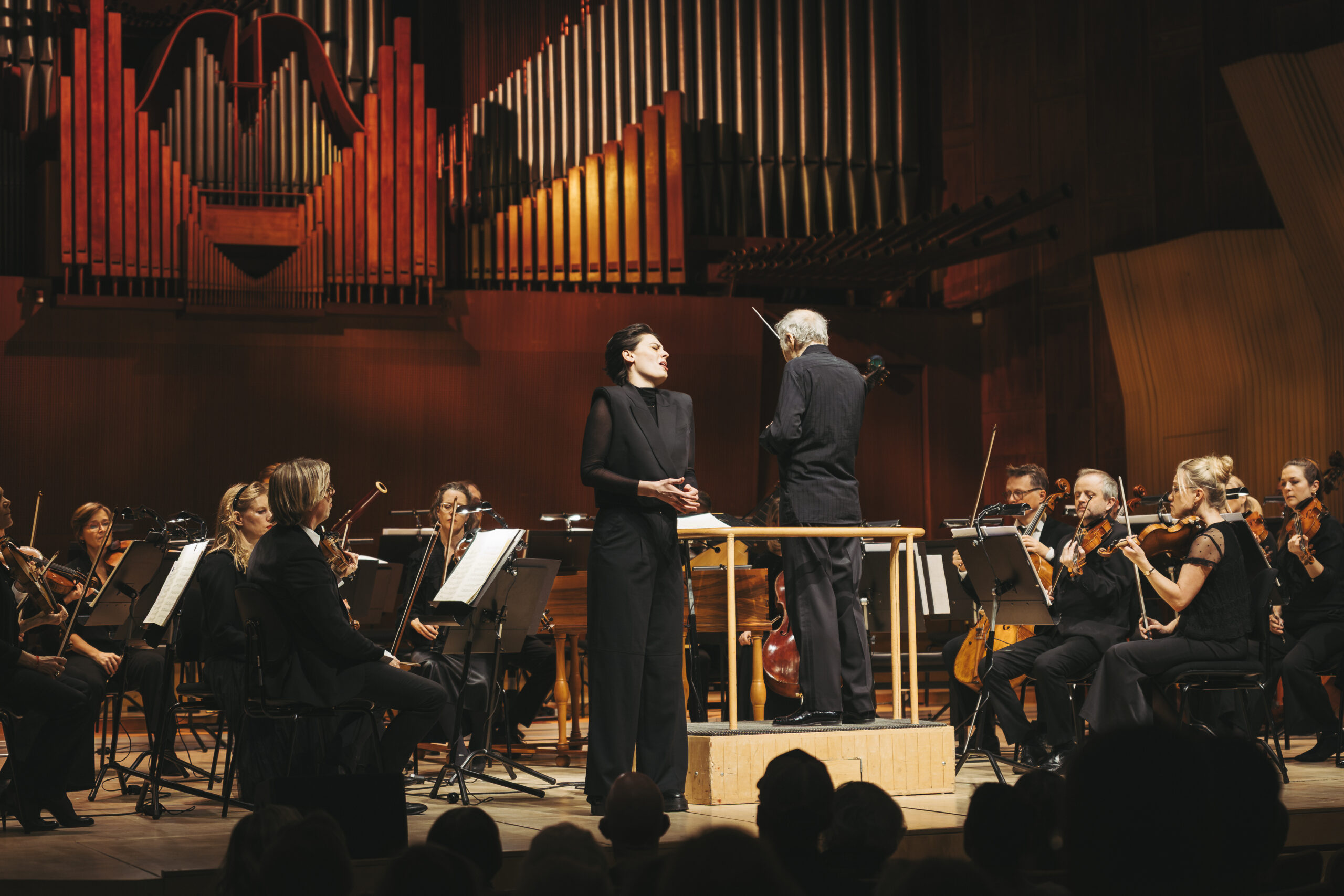 Danmarks Underholdnings Orkester