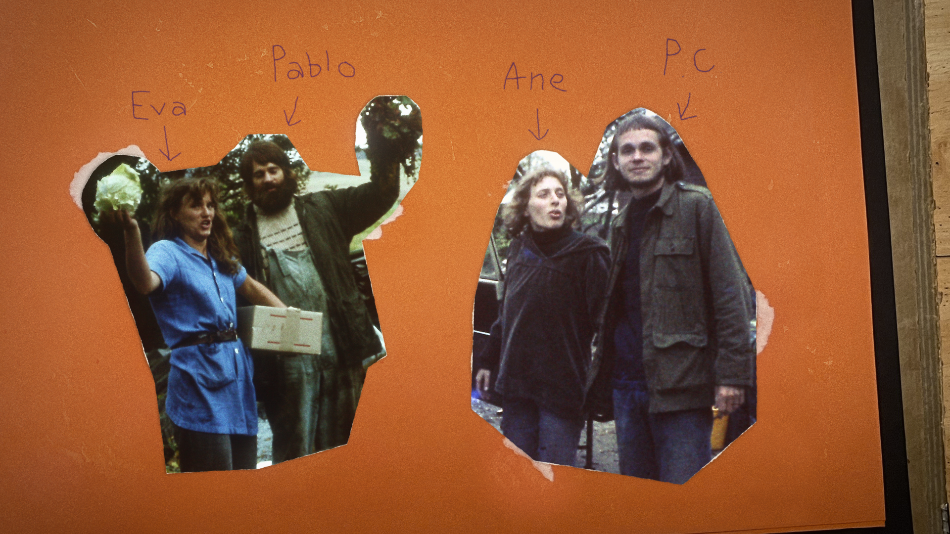 Dokumentar: PÆDAGOGERNE DER VILLE ÆNDRE VERDEN