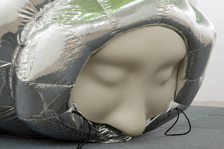 Viborg Kunsthal: STINE DEJA