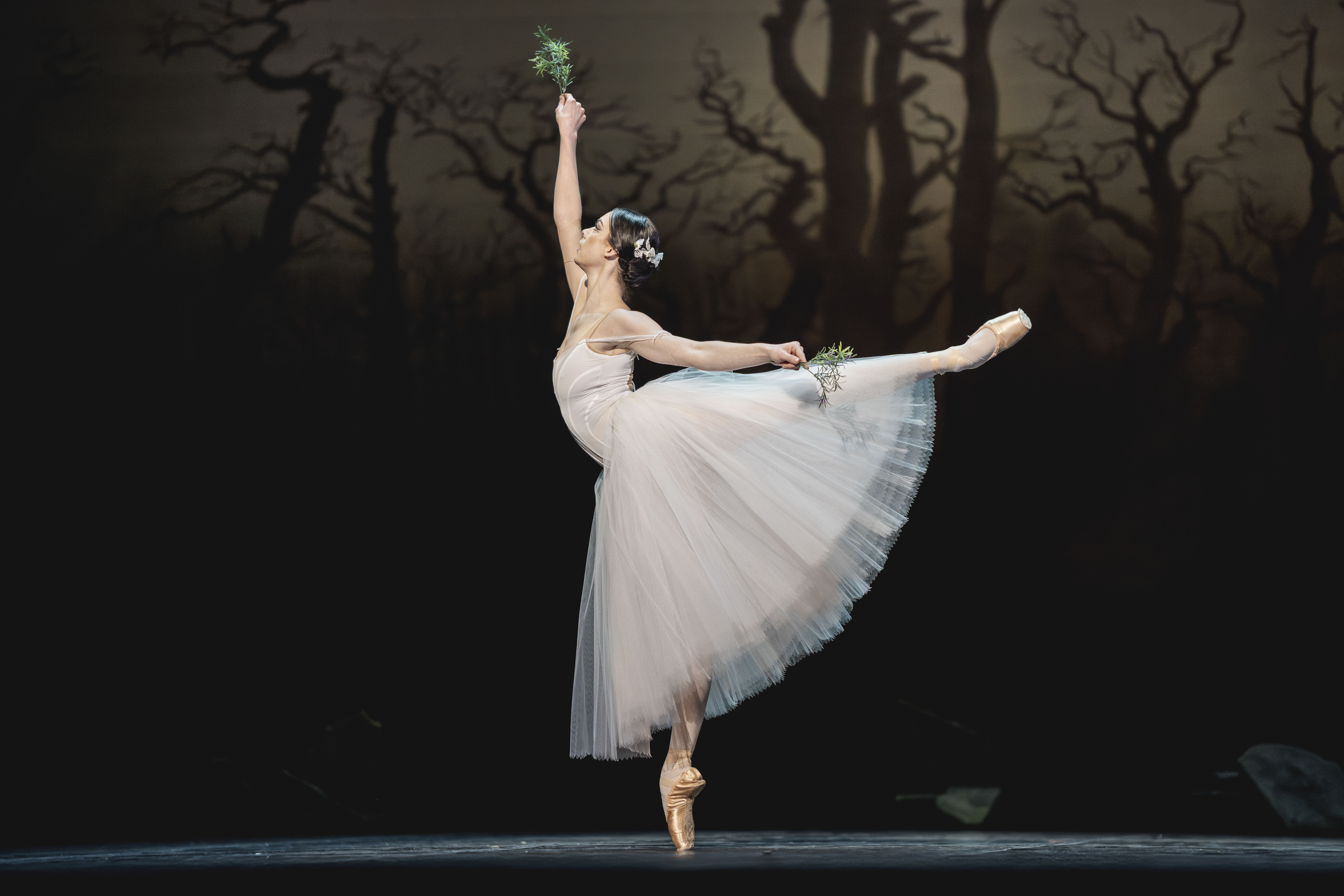 Det Kongelige Teater – Gamle Scene Det Kongelige Teater – Gamle Scene