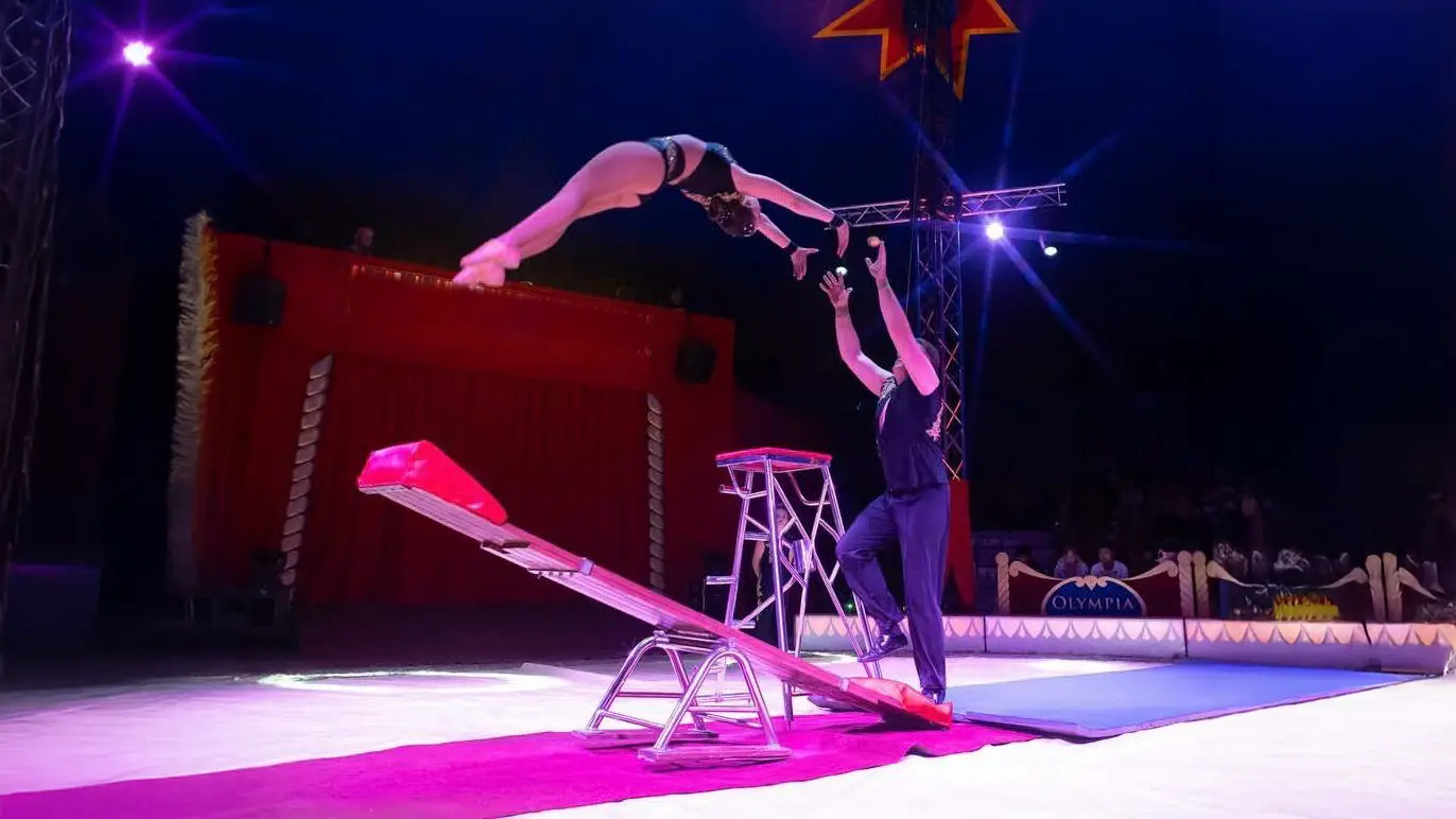 Anmeldelse: Cirkus Arli 2026 Anmeldelse: Cirkus Arli 2026