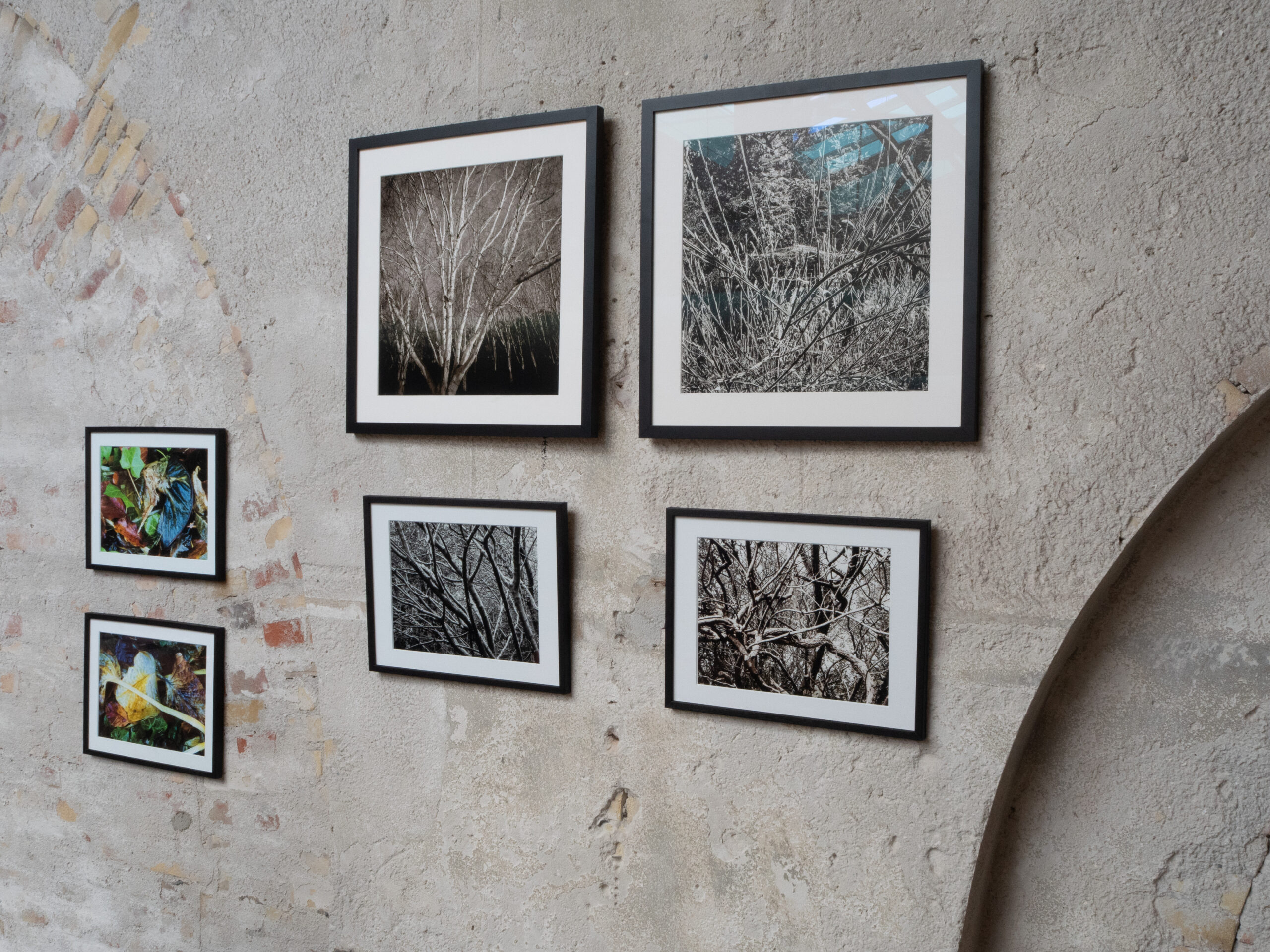 Fotokunst, KULTURINFORMATION Fotokunst, KULTURINFORMATION