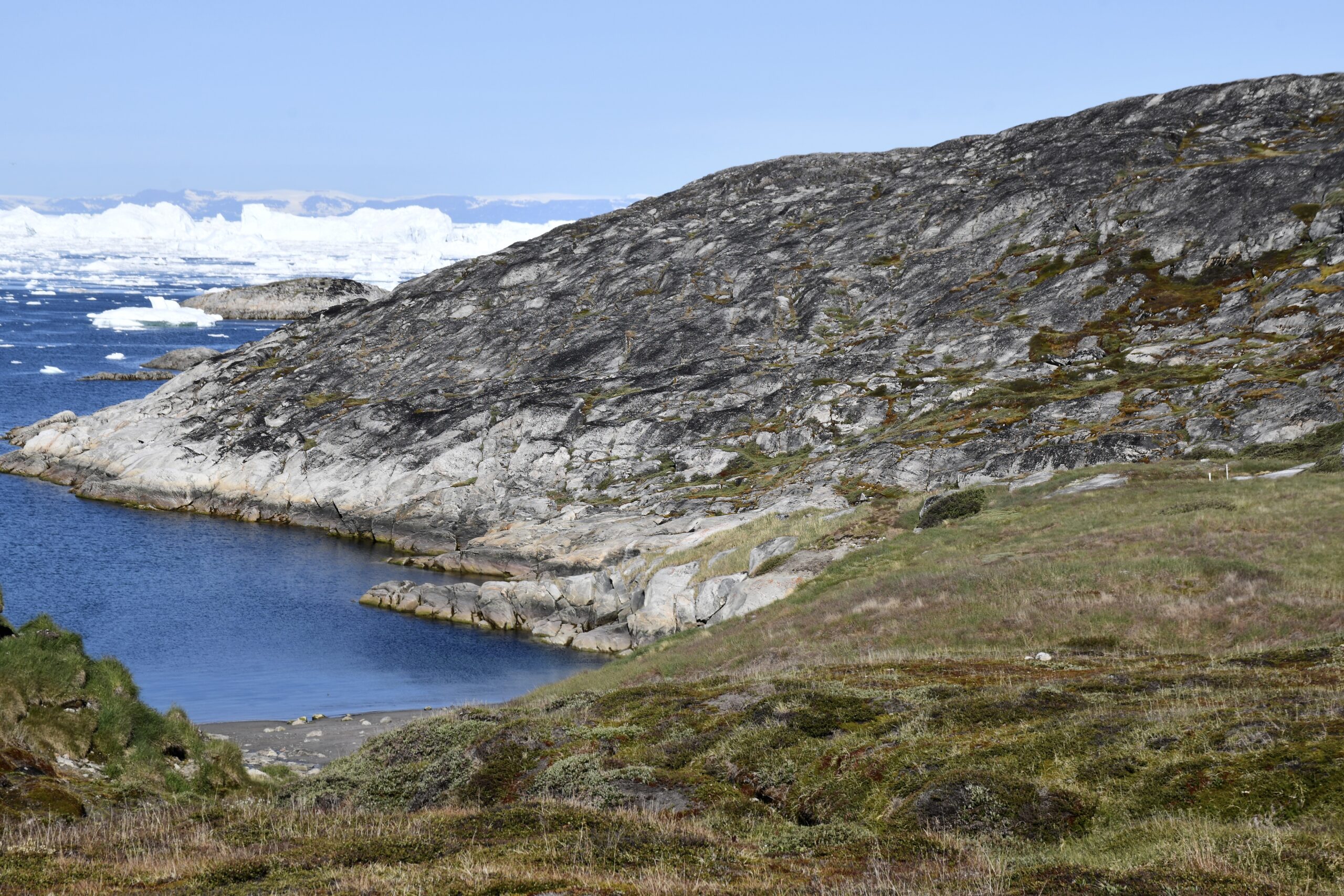 Bopladsen ved Sermermiut-dalen er omkring 4.400 år gammel. I dag er der kun det nedtrådte område med lav græsvækst efter de tidlige grønlændere at se. Arkæologerne har naturligvis taget sig af de historiske genstande, der afspejler dagligdagen gennem tiderne som fx figurer, jagtredskaber og husgeråd. Foto: Niels Lyksted
