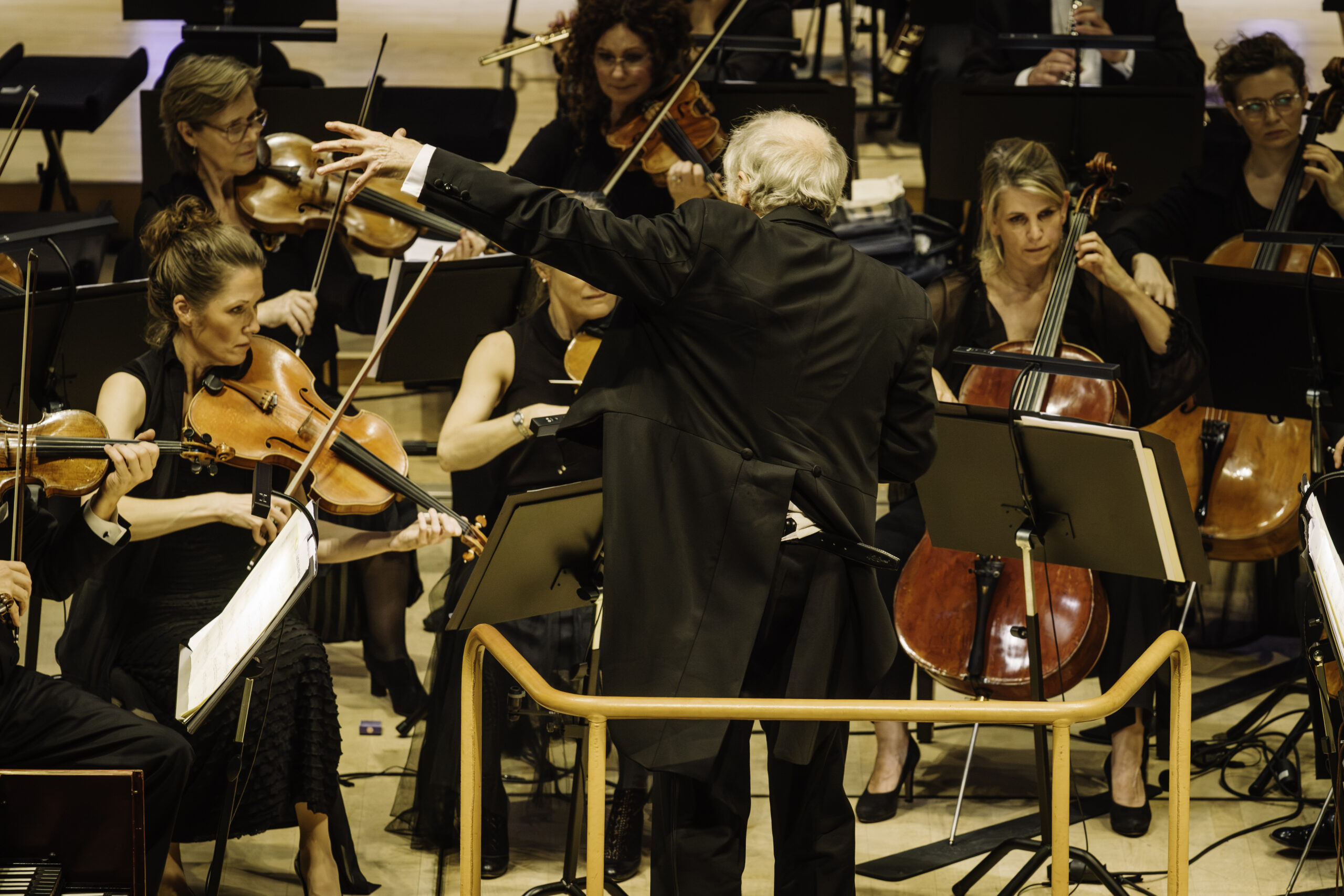 Danmarks Underholdnings Orkester | anmeldelse: September Festival 2026